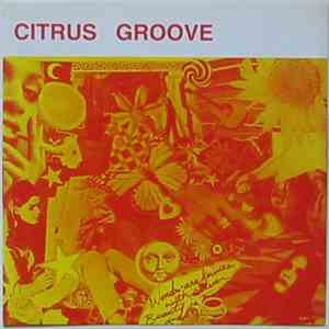 Citrus Groove - Mesmerized