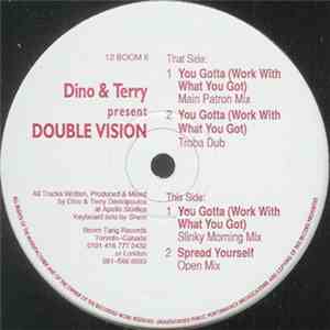 Dino & Terry Present Double Vision  - You Gotta (Work With What You Got)