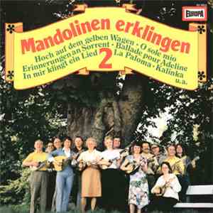 Mandolinen-Orchester 