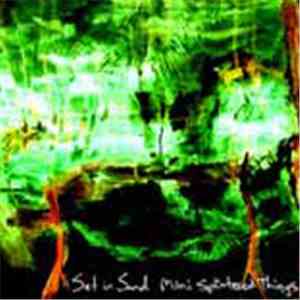 Set In Sand - Mini Splintered Things