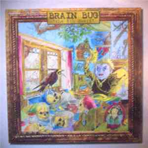 Brain Bug - The 8th Dwarf