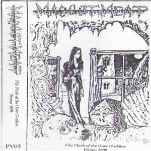 Maggot Meat - Vile Flesh Of The Gore Godess