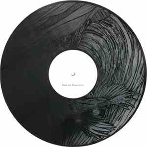 Sleeping Bear - Parinae