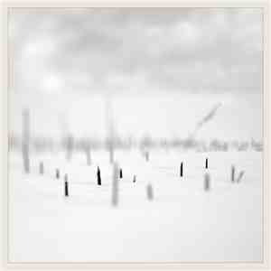 Taylor Deupree + Marcus Fischer  - In A Place Of Such Graceful Shapes