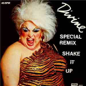 Divine - Shake It Up (Special Remix)