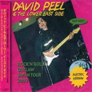 David Peel & The Lower East Side - Rock'n'Roll Outlaw Japan Tour 2003 (Elec ...