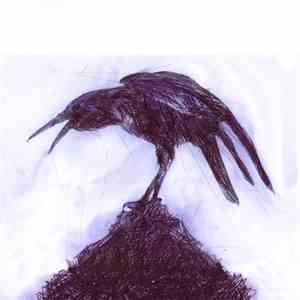 Regal Worm - Dissecting The Worm (A Taste)