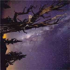 Swans - Light In A Dark Universe