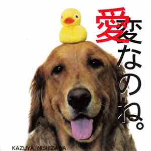 西沢和弥 - 愛なのね。