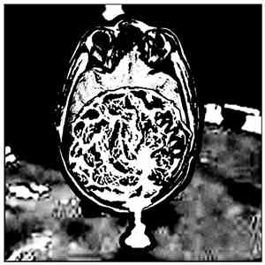 Destruktionsanstalt - Cerebrum Daemonia