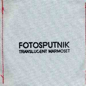Fotosputnik - Translucent Marmoset