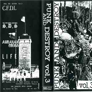 Various - Punk And Destroy Vol, 3