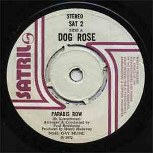 Dog Rose - Paradis Row