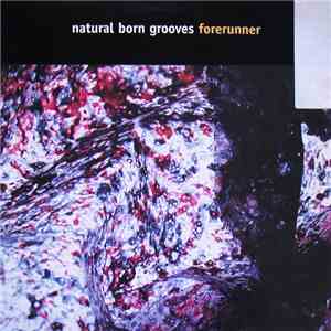 Natural Born Grooves - Forerunner
