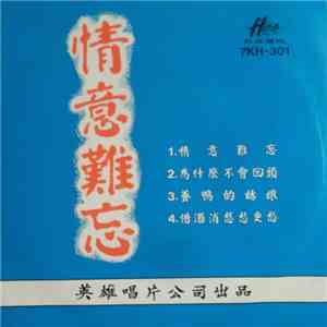 Unknown Artist - 情意難忘