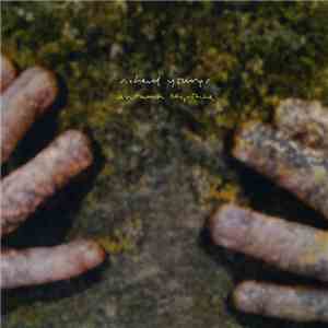 Richard Youngs - Autumn Response