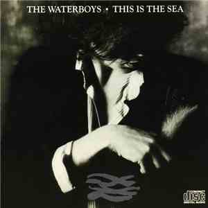 The Waterboys - This Is The Sea