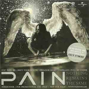 Pain  / Substyle - Nothing Remains The Same / I'm God And This Is My Day