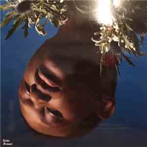 Tribe Frowst - Tribe Frowst