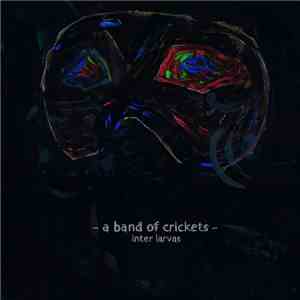A Band Of Crickets - Inter Larvas