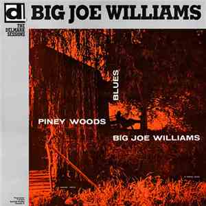 Big Joe Williams - Piney Woods Blues