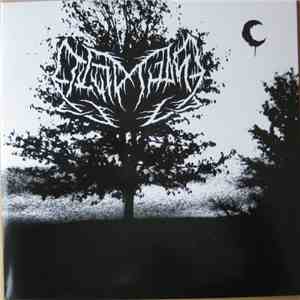 Leviathan  - The Speed Of Darkness