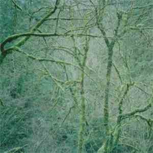 Six Organs Of Admittance - Dust & Chimes