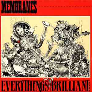 The Membranes - Everything's Brilliant