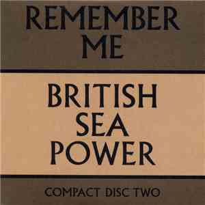 British Sea Power - Remember Me