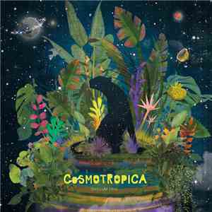 Chillum Trio - Cosmotropica