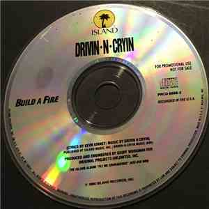 Drivin N Cryin - Build A Fire