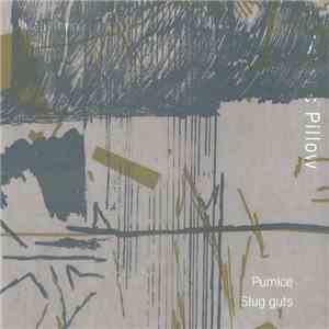 Mad Nanna / Pumice / Kraus  / Slug Guts - Realistic Pillow