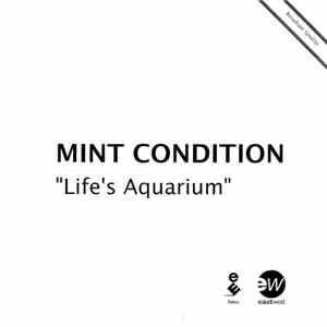 Mint Condition - Life's Aquarium