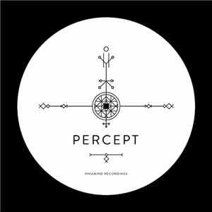 Percept - Boxed In EP