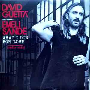 David Guetta Feat. Emeli Sandé - What I Did For Love