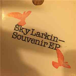 Sky Larkin - Souvenir EP