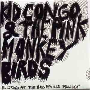 Kid Congo & The Pink Monkey Birds - Bruce Juice
