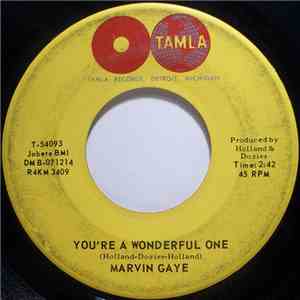 Marvin Gaye - You're A Wonderful One