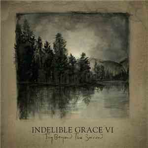 Indelible Grace - Indelible Grace VI (Joy Beyond The Sorrow)