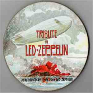 They Play Led Zeppelin - Tribute to Led Zeppelin