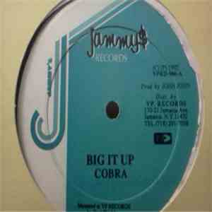 Cobra - Big It Up