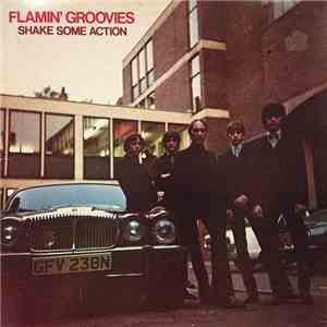 The Flamin' Groovies - Shake Some Action