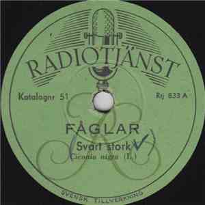 No Artist - Fåglar
