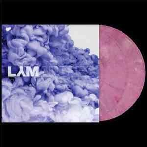 No Artist - Serato Scratch Live Control Record (LYM)