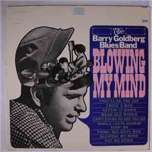 The Barry Goldberg Blues Band - Blowing My Mind