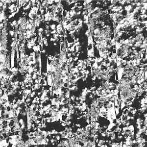 Perspex Flesh - Ordered Image