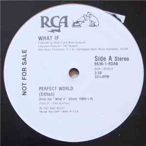 What If  - Perfect World