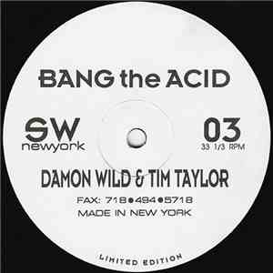 Damon Wild & Tim Taylor - Bang The Acid