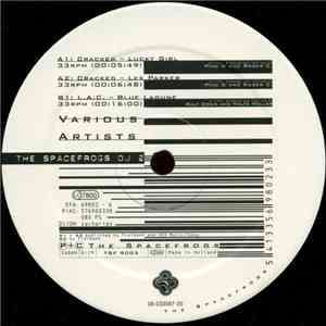 Various - The Spacefrogs DJ 2