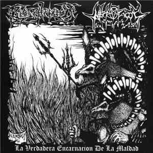 Blasphemiam, Necrofagos - La Verdadera Encarnacion de la Maldad